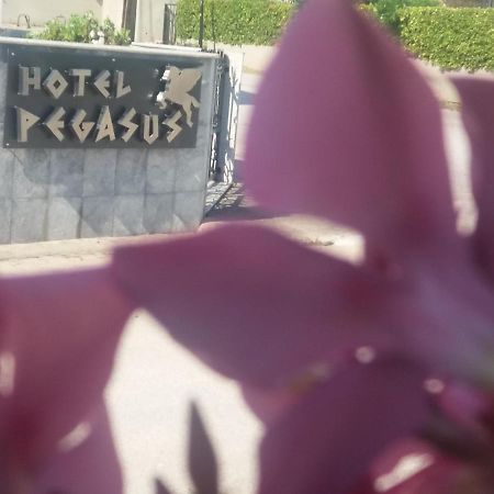 Pegasus Hotel Hanioti Ngoại thất bức ảnh